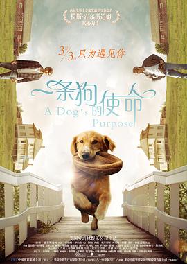 嫩草影院在线观看精品