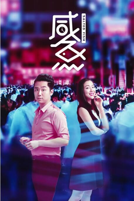 每日更新在线观看