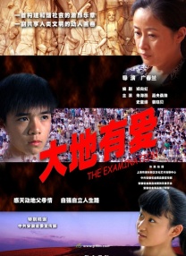 寡妇村的女人