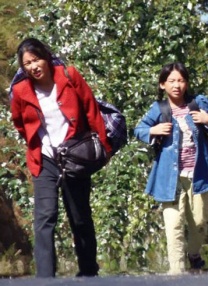 h视频无遮挡免费网站