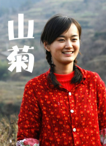 给我看一下你的森林