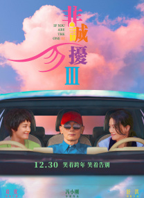 丁香婷婷久久大综合